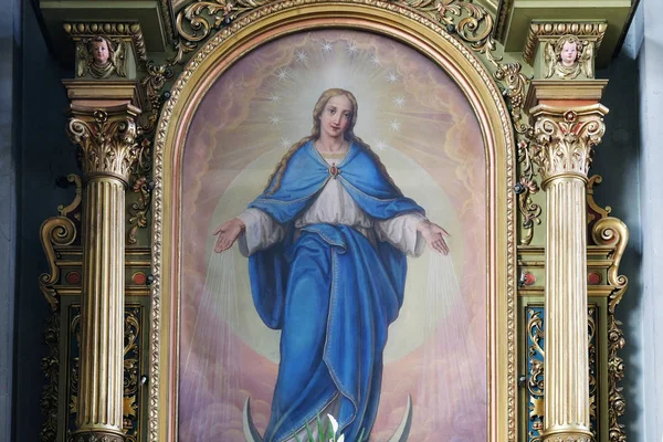 Selige Jungfrau Maria — Stockfoto