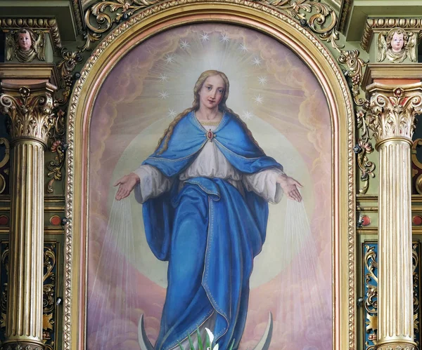 Blessed Virgin Mary — Stock Photo, Image