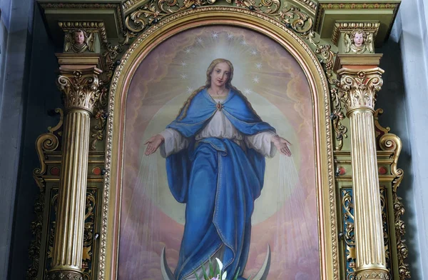 Blessed Virgin Mary — Stock Photo, Image