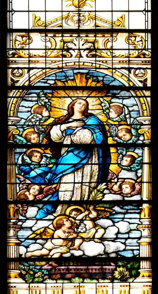 聖母マリアの被昇天 — ストック写真