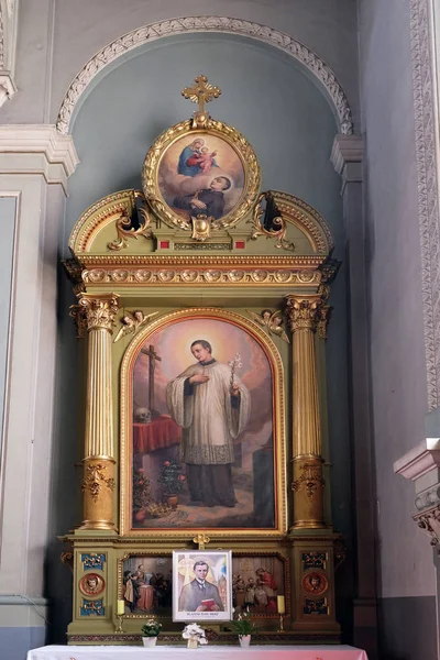 Saint Aloysius Gonzaga altaret i basilikan i Jesu Heliga hjärta i Zagreb, Kroatien — Stockfoto