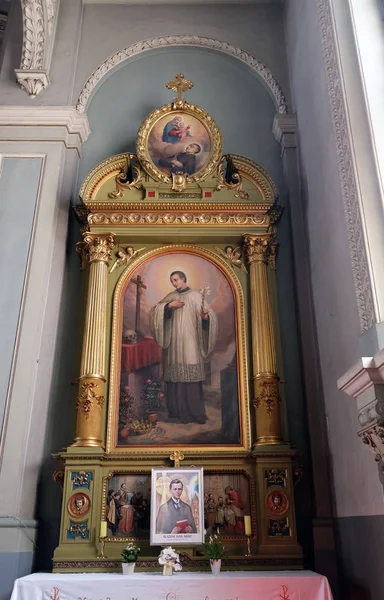 Heiliger aloysius gonzaga altar in der basilika des heiligsten herzens Jesus in zagreb, kroatien — Stockfoto