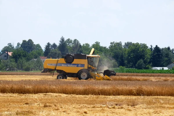 Combine harvester harvest ripe wheat — Stock Photo, Image