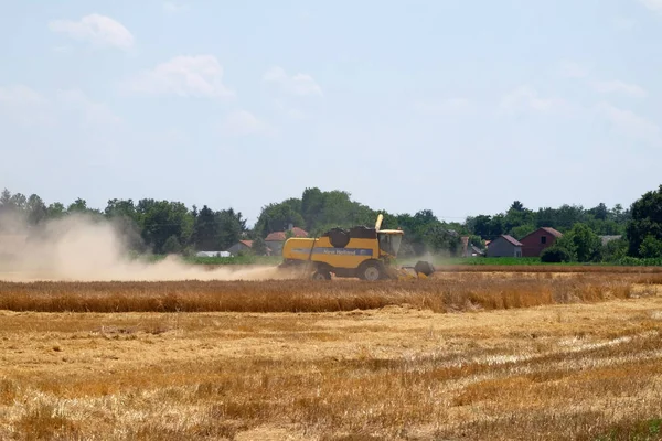 Combine harvester harvest ripe wheat — Stock Photo, Image