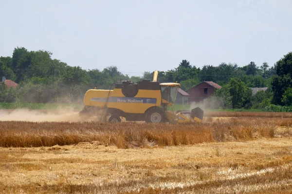 Combine harvester harvest ripe wheat — Stock Photo, Image