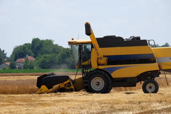 Combine harvester harvest ripe wheat — Stock Photo, Image