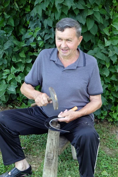 农夫用锤子和铁工具在树桩上锐化他镰刀在 Nedelisce 克罗地亚在 2016 — 图库照片