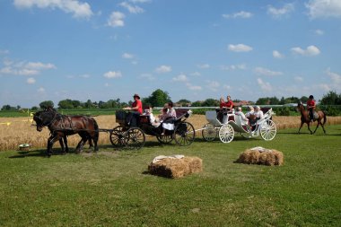 Köylüler, şarkı ve dans ve iyi yemek Nedelisce, Hırvatistan montaj geleneksel hasat başlar