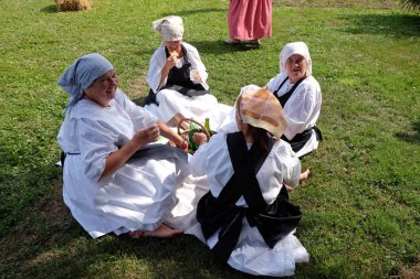 Köylüler, şarkı ve dans ve iyi yemek Nedelisce, Hırvatistan montaj geleneksel hasat başlar