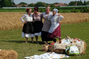 Köylüler, şarkı ve dans ve iyi yemek Nedelisce, Hırvatistan montaj geleneksel hasat başlar