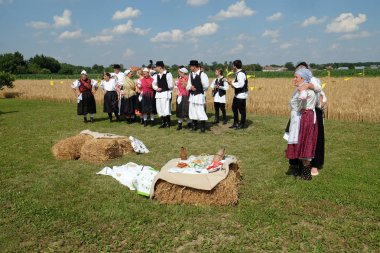 Köylüler, şarkı ve dans ve iyi yemek Nedelisce, Hırvatistan montaj geleneksel hasat başlar
