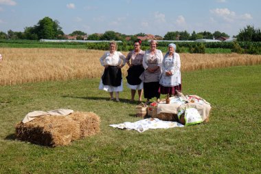 Köylüler, şarkı ve dans ve iyi yemek Nedelisce, Hırvatistan montaj geleneksel hasat başlar