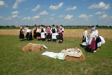 Köylüler, şarkı ve dans ve iyi yemek Nedelisce, Hırvatistan montaj geleneksel hasat başlar