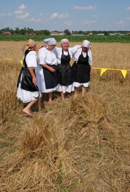 Köylüler, şarkı ve dans ve iyi yemek Nedelisce, Hırvatistan montaj geleneksel hasat başlar 