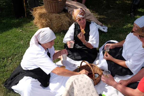 Köylüler, şarkı ve dans ve iyi yemek Nedelisce, Hırvatistan montaj geleneksel hasat başlar