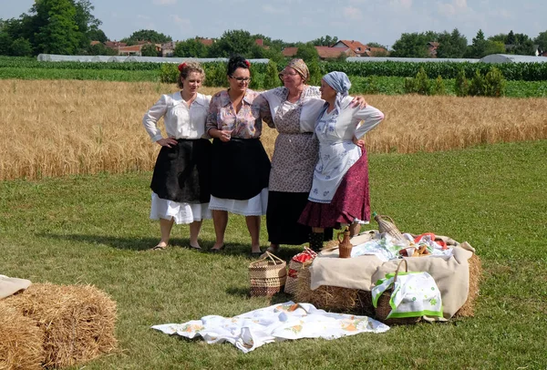 Köylüler, şarkı ve dans ve iyi yemek Nedelisce, Hırvatistan montaj geleneksel hasat başlar