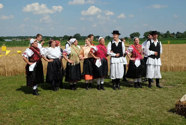 The harvest traditionally begins assembling villagers, singing and dancing and good food in Nedelisce, Croatia — Stock Photo, Image