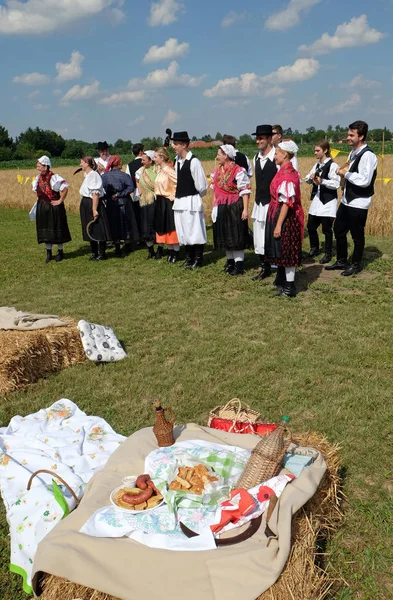 The harvest traditionally begins assembling villagers, singing and dancing and good food in Nedelisce, Croatia — Stock Photo, Image