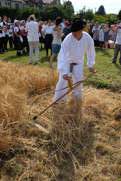 Farmer harvesting wheat with scythe in wheat fields — Stock Photo, Image