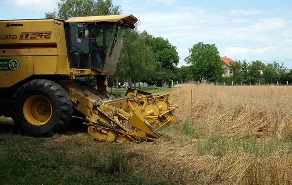 Kombinera skördarskörd av moget vete på en gård — Stockfoto