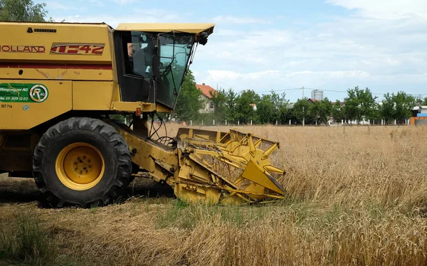 Kombinovat sklizeň zralou pšenici na farmě — Stock fotografie