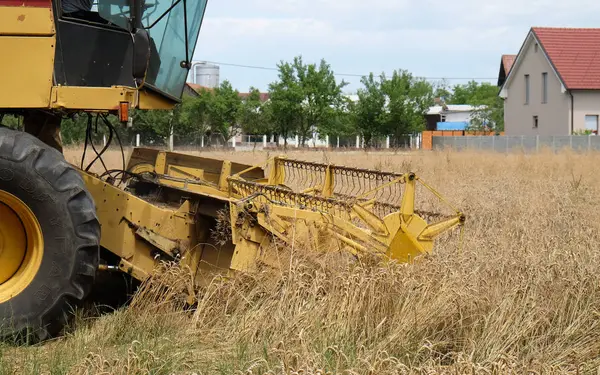 Combinar cosecha cosechadora trigo maduro en una granja — Foto de Stock