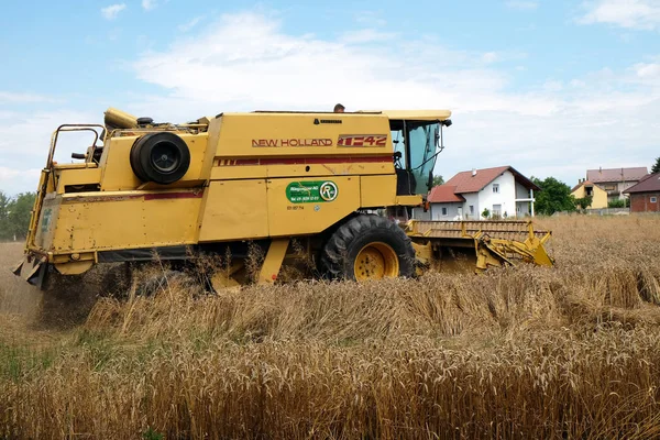 Combine harvester harvest ripe wheat on a farm — Stock Photo, Image