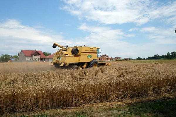Combine harvester harvest ripe wheat on a farm — Stock Photo, Image