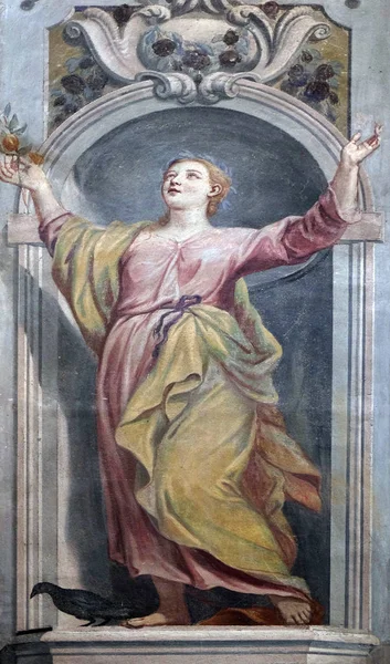 Ljubljana, Slovenya'da St Nicholas Katedrali fresk tablo — Stok fotoğraf