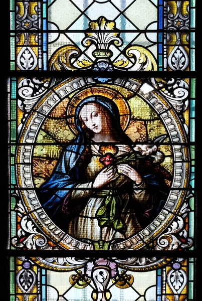 Непорочное сердце Марии — стоковое фото