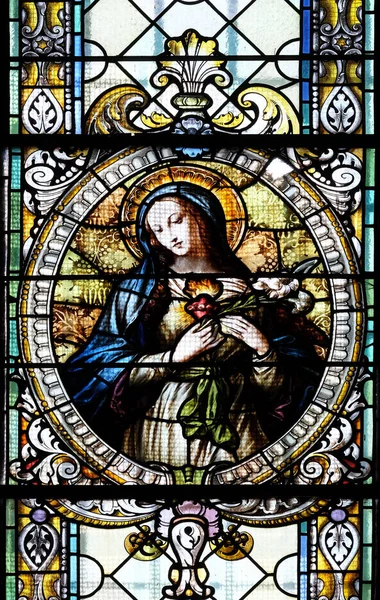 Immaculate heart of Mary — Stock Photo, Image