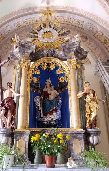 Altar Virgem Maria na Catedral de São Nicolau em Novo Mesto, Eslovénia — Fotografia de Stock