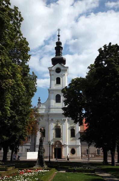 Kathedraal Van Teresa Van Avila Kroatische Provincie Bjelovar Kroatië — Stockfoto