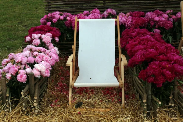 Flores expuestas en Floraart, 49 exposición internacional de jardines en Zagreb —  Fotos de Stock