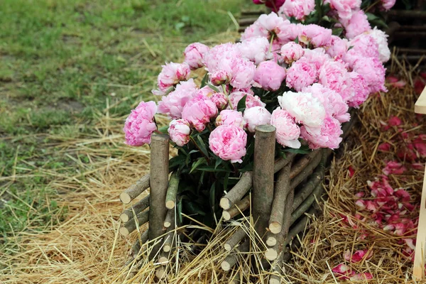Floraart 2014 日在克罗地亚的萨格勒布 国际花园展览上暴露的花 — 图库照片