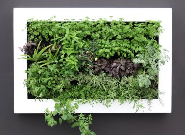 Floraart, 49 uluslararası Bahçe Sergisi Zagreb maruz çiçekler