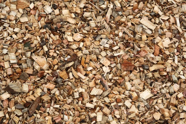 Wood Sawdust Texture Close — Stock Photo, Image