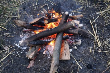 Karanlık bir gecede nehir kenarında kamp ateşi