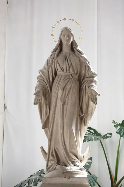 Blessed Virgin Mary — Stock Photo, Image