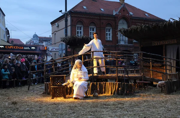 Live Kerstmis kerststal — Stockfoto