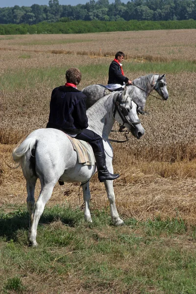 Hommes à cheval habillés en costume national, chevauchant à travers les champs de blé — Photo