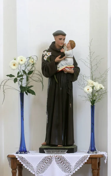 Der heilige Antonius von Padua — Stockfoto