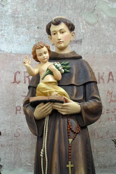 Saint Anthony of Padua — Stock Photo, Image