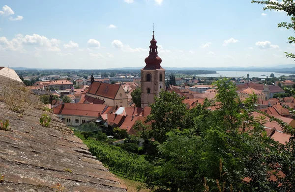 屋顶的旧城中心和圣乔治教堂在斯洛文尼亚 Ptuj — 图库照片