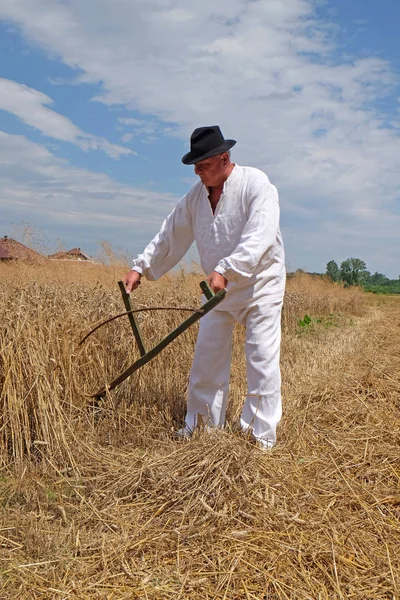 Fermier récoltant du blé avec faux dans les champs de blé — Photo
