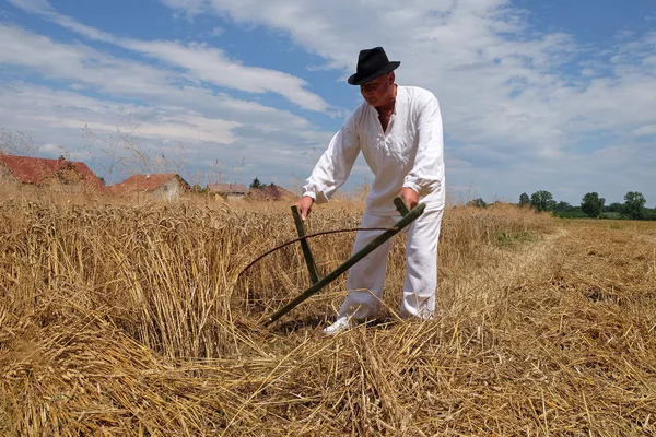 Rolnik zbiorów pszenicy z kosą w pola pszenicy — Zdjęcie stockowe