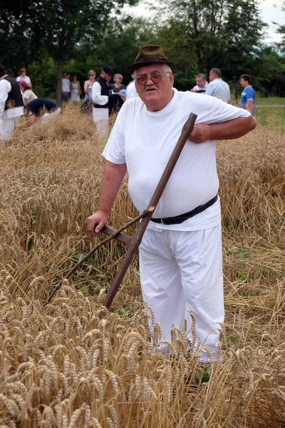 Coltivatore che raccoglie grano con falce nei campi di grano — Foto Stock