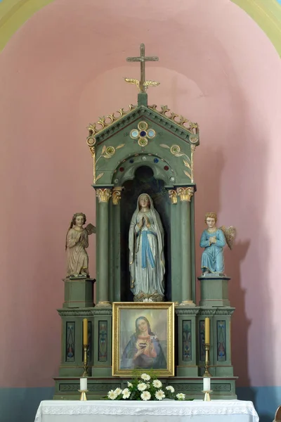 O altar de Nossa Senhora de Lourdes na Igreja Paroquial de São Martinho em Pisarovinska Jamnica, Croácia — Fotografia de Stock