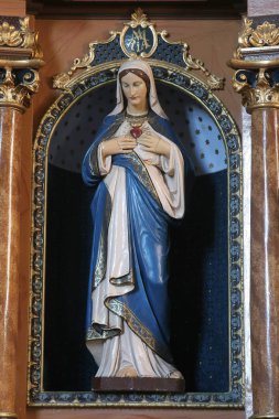 Meryem'in tertemiz kalbi