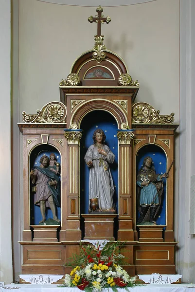 Szent Vitus-oltár, a plébánia templom Szent Márton Scitarjevo, Horvátország — Stock Fotó